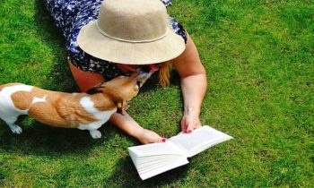 Hundebuch-Tipps