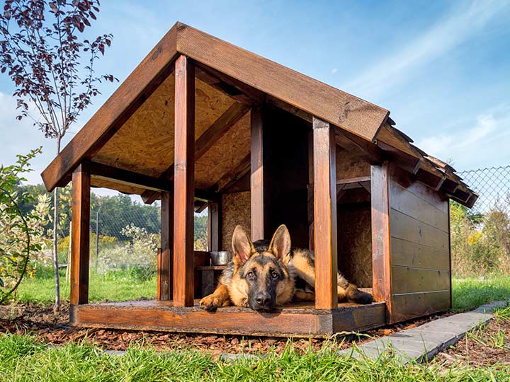 Hundehütte Outdoor mit Windfang